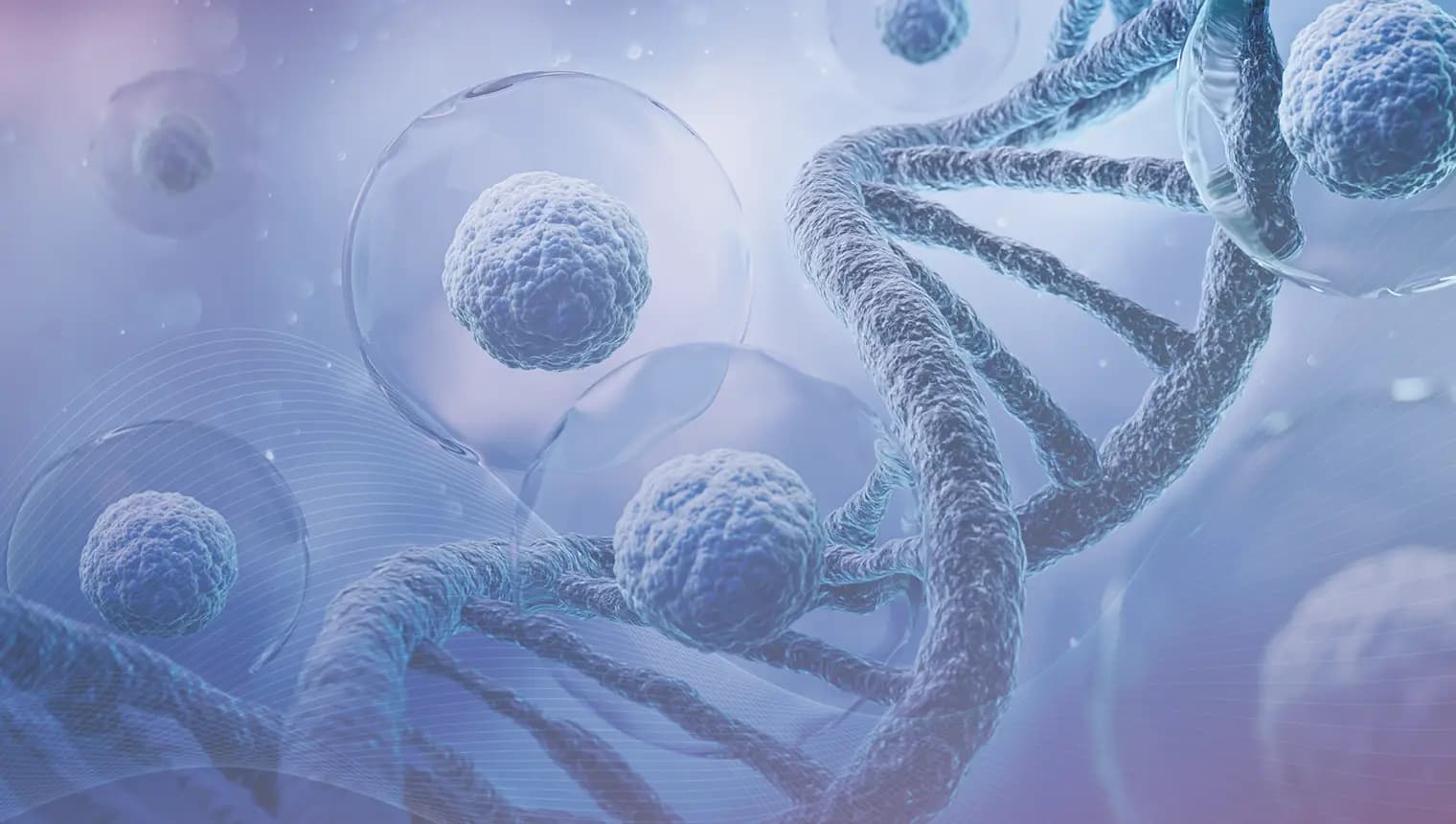 10th Impurities: Genotoxic, Nitrosamine & Beyond Summit